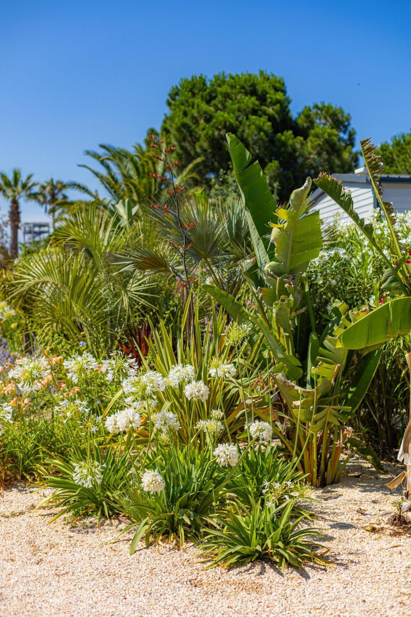 Residence Antinea Argelès-sur-Mer Kültér fotó